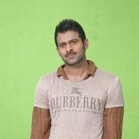 Prabhas - Mr Perfect Movie Stills | Picture 32587